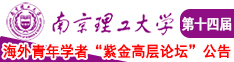 内射胡迪人逼南京理工大学第十四届海外青年学者紫金论坛诚邀海内外英才！